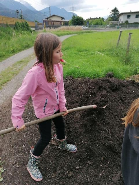 Kinder beim Einpflanzen