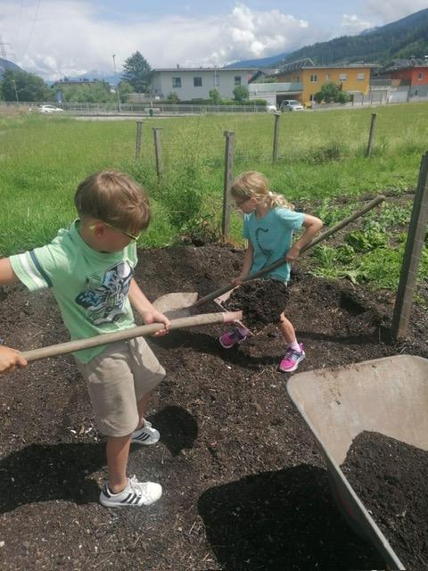Kinder beim Einpflanzen