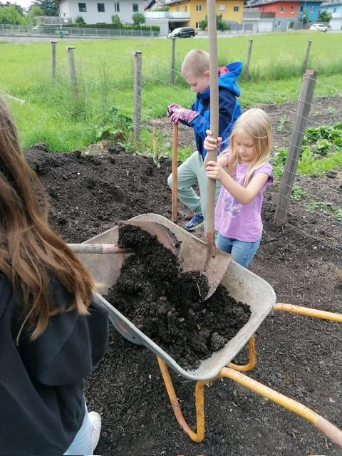 Kinder beim Einpflanzen